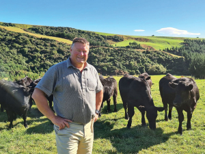 US tariffs boost NZ wool carpet export opportunity