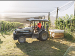 An electric tractor in operation at Electric Cherries.