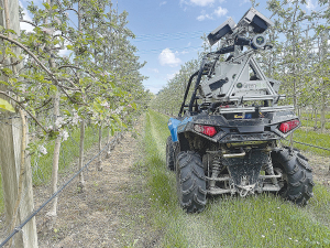 Cartographer orchard scanners allow growers to precisely count buds and fruit on all their trees and vines.