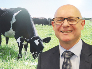 MPI: Primary sector exports hit record $60B