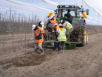 New Joli apple trees – planted in September – will begin to bear fruit in around three years’ time, with export volumes expected from 2028.