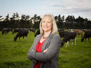 Rabobank Country Banking general manager Hayley Moynihan.