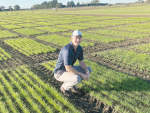 Team effort behind new ryegrass cultivar to future-proof pastoral farming