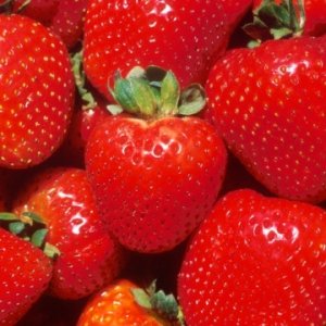 Strawberries leave MAF red-faced
