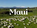 About 15 farmers in Waikato were told to end their 2023-24 season via an email from the company.