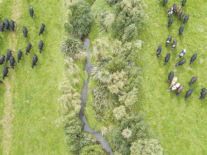 Managing fertiliser and feed use can help minimise losses to waterways.