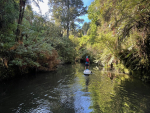 Interactive resources cover the science behind riparian planting and what farmers can do to improve water quality and habitat for wildlife.