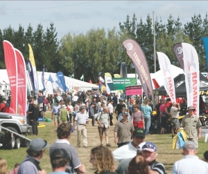 Wood choppers will have a ball at field days