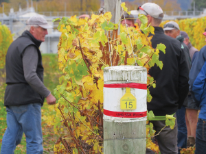 Mark Allen, left, at pruning workshop