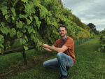 Science Snippet: Cryopreservation Protects Grapevines at Lincoln University