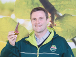 Kiwifruit set to benefit from NZ-EU FTA
