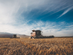 Cereal harvest yields up 4%