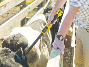 MPI says it&#039;s important for farmers to do the right thing because biosecurity is critically important to the agricultural sector.