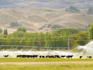 A new report on regenerative agriculture in New Zealand says it might benefit some regions more than others.
