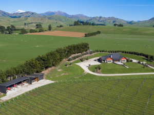 Francis Estate Vineyard has been placed on the market for sale.