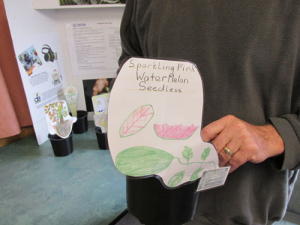 Plant propagation inspires prisoners