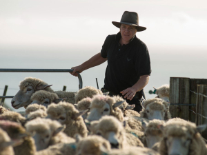 Feds meat and wool chair voted off