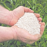 Getting best bang for your fertiliser buck