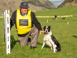 Elite sheep dogs to go head-to-head at Ashburton A&amp;P Show