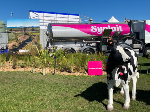 What Would Synlait Be Worth to Fonterra or a2 Milk?