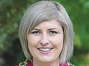 Grey District mayor Tania Gibson is calling on the support of all rural and provincial mayors around New Zealand against the Government’s proposed SNA process.