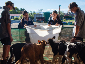Feilding Agricultural High School Farm Programme Blends Education and Real-World Farming