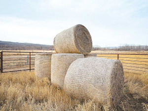 Compostable net wraps can significantly benefit farmers and the environment.