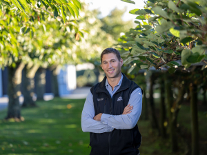 Zespri global sales top $5 billion for 2024–25 season amid strong demand