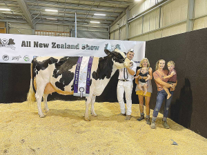 Te Hau Holsteins have taken out two prestigious titles at the New Zealand Dairy Event.