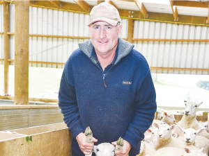 Waimate farmer Tim Mehrtens says he has been pleasantly surprised at the Wiltshire&#039;s mothering ability and pre-weaning growth rates.