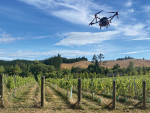 Tasman Drone Services