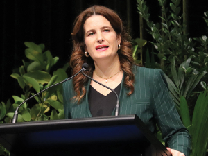 NZ seeks certainty on US tariff, says McClay