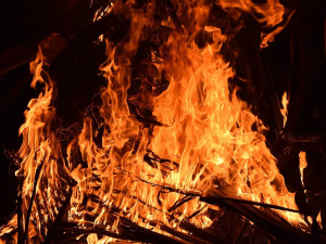 Canterbury has a significant number of hedgerows and shelterbelts near rural infrastructure but, despite this, there is limited research on their role in fire risk.