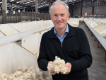 NZ-India FTA Opens New Opportunities for Strong Wool Trade