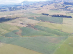 MPI ramps up farm visits and advice ahead of 2025 winter grazing season