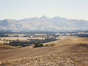 Looking north across the Hawarden Basin from Brandon Downs toward Mt Tekoa, the area potentially to be irrigated by an expansion of the Amuri scheme. Photo: Supplied.