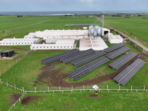 Taranaki piggery goes solar