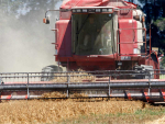 Arable ROI Crisis: Why Canterbury Farmers Are Moving On