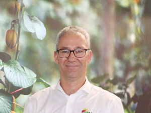 NZKGI CEO Responds to Waikato Professor’s Kiwifruit Sector Report