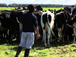 Aucklanders are looking to dairy as a career option, but more are still needed.