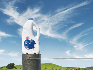 Iconic Fonterra brands like Anchor could be sold within 18 months.