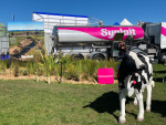 a2 Milk Company coy on Synlait $130m loan