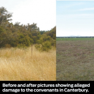 Farmer facing court over bush damage