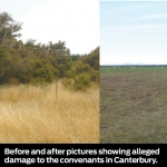 Farmer facing court over bush damage