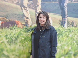 NZ dairy farmers repay $1.7 billion in debt as milk price hits $10/kgMS