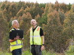 Short rotation forestry could lower fossil fuel dependency