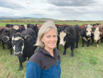 North Canterbury farmer Bridget Banks is looking forward to benchmarking her cattle’s performance against other commercial beef herds.