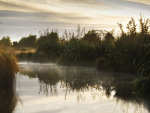 Waitī watches over our freshwater environments. Photo Grove Mill