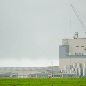 Milk plant to move into full production