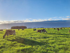 Farmers back government’s RMA reforms